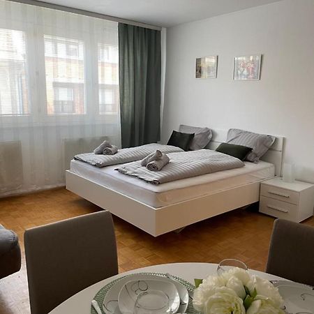 Apartment Green - Grey ลูบลิยานา ภายนอก รูปภาพ